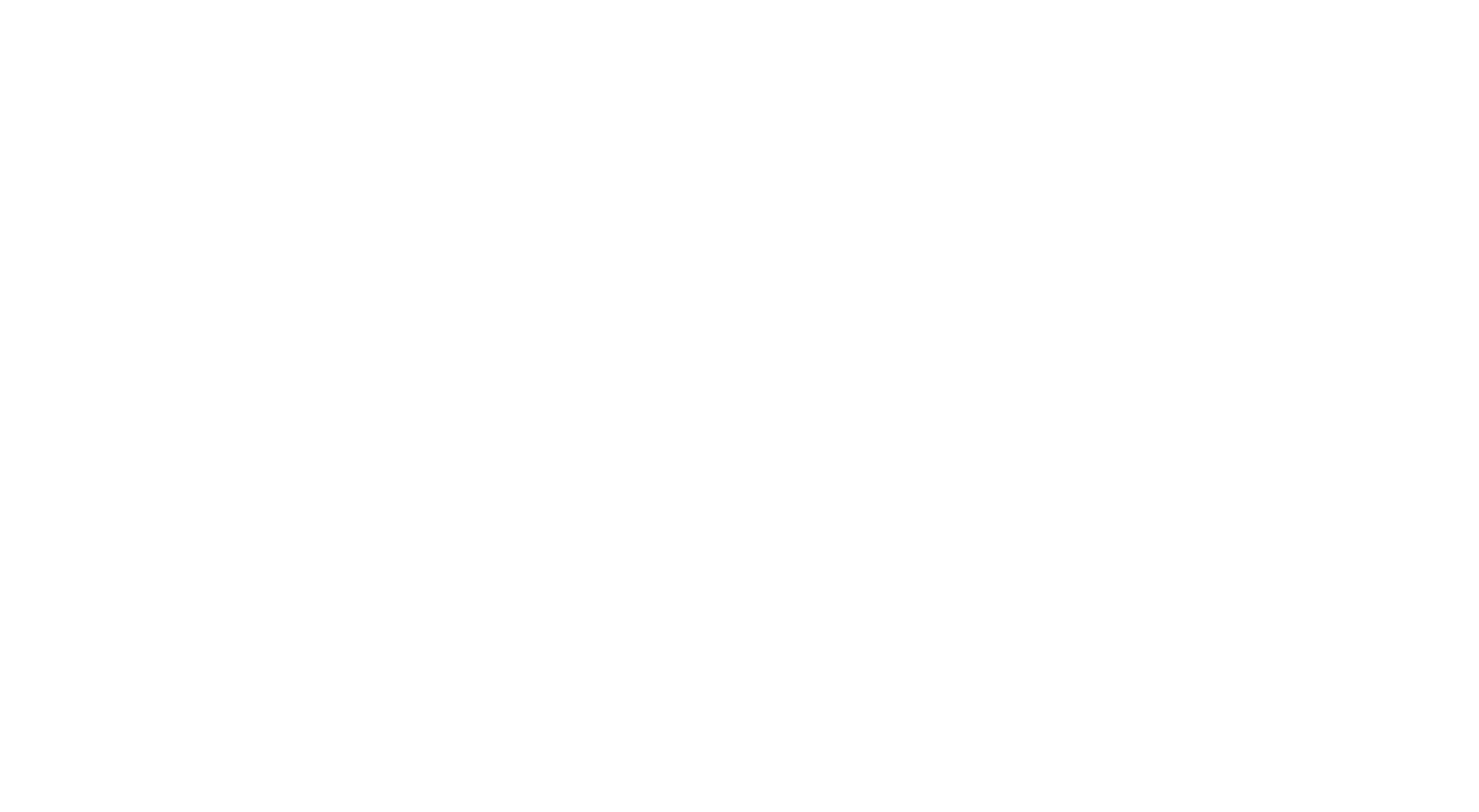 METRO DETROIT DSA 2025